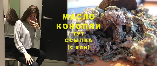 стаф Губаха