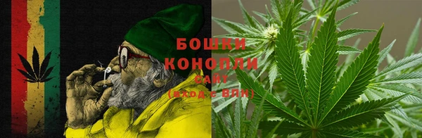молекула духа Грязовец