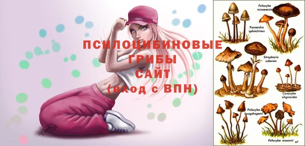 дживик Нефтегорск
