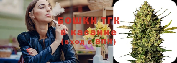стаф Новозыбков